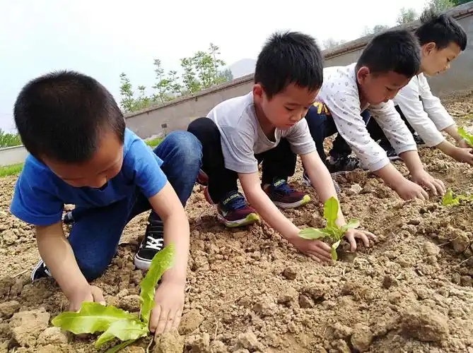 谷雨前后,种瓜点豆.一年一度的种植季,孩子们一起动起手来!