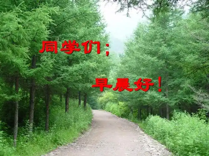 解剖 同学们; 早晨好!