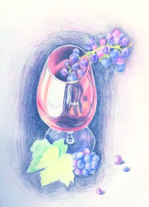 葡萄酒彩铅绘画