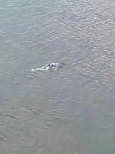 可怕贺州市信都大桥河段惊现女浮尸