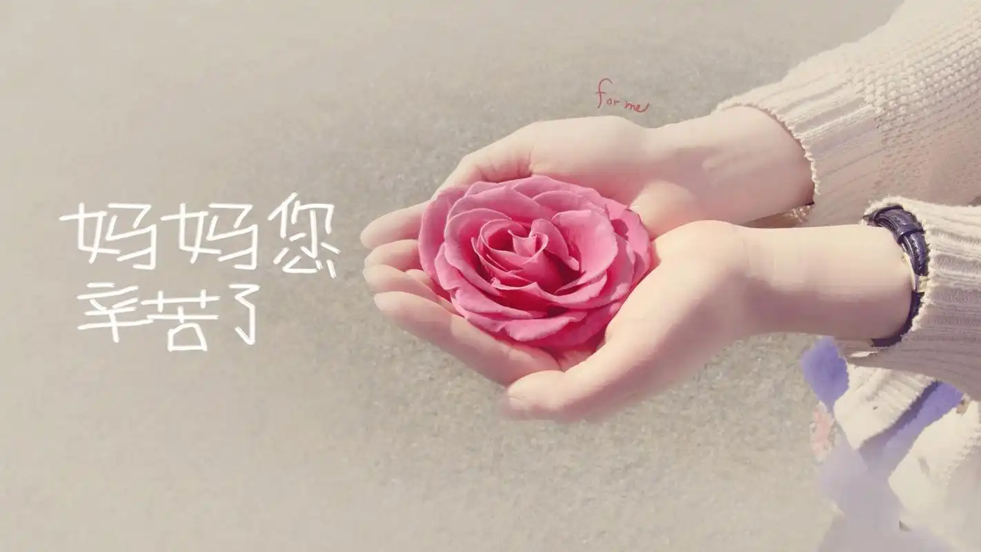 献给母亲节妈妈的礼物 中级会计职称记忆法