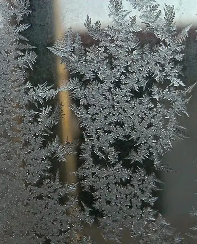 冰霜留下的美丽【小米微距】