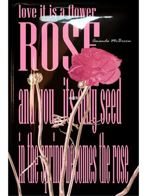 theroseamandabcroom歌词海报