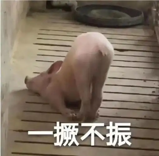 猪猪表情包 一蹶不振