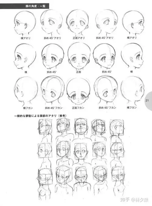 脸部(头部)轮廓的绘制