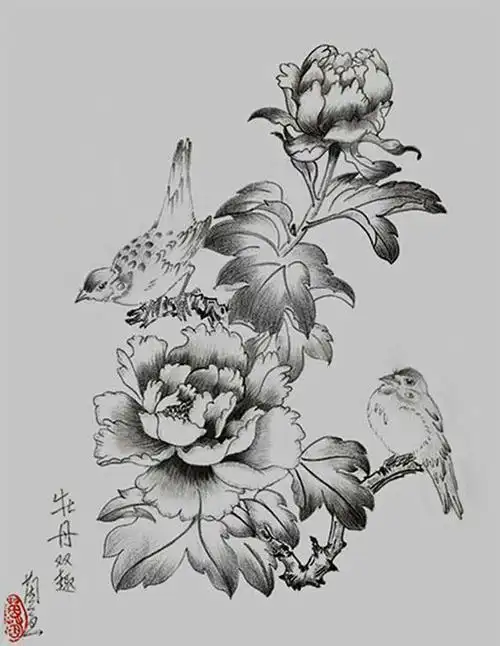 教程成人简笔画花鸟林檎简笔画铅笔画 花鸟山水花鸟简笔画国画花鸟简