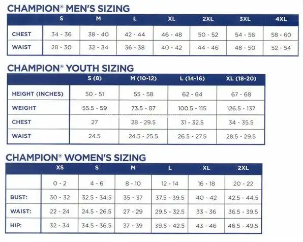 亚马逊海外购champion冠军牌life系列男士复古短袖t恤t1