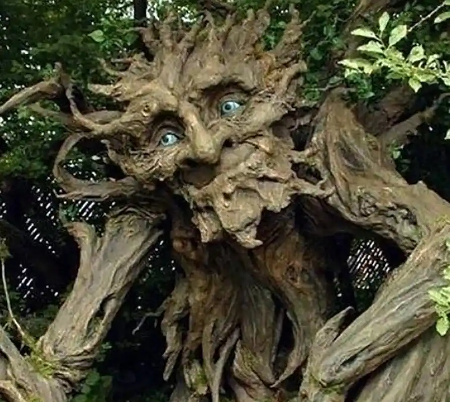 非洲有一种可怕的"食人树",碰到它的人,都很难幸免