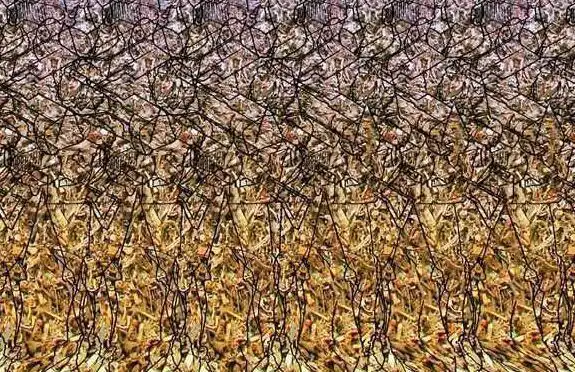 教你练就平行眼与交叉眼,练成后魔方墙秒破可裸眼看3d电影了