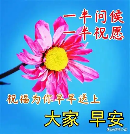 唯美的早上好祝福表情图片,吉祥如意,幸福安康!