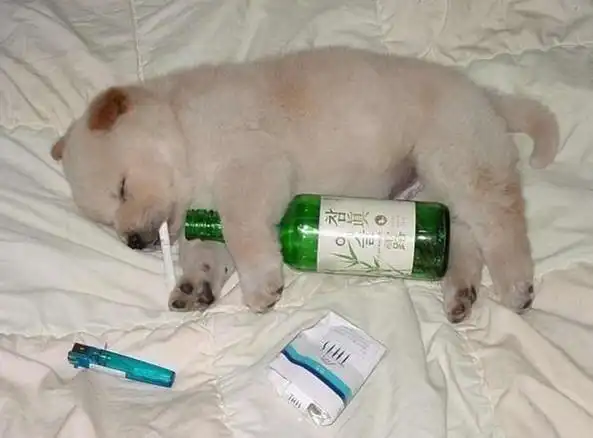 喝醉了,睡一觉.