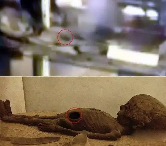 最新证据曝光外星人竟真实存在