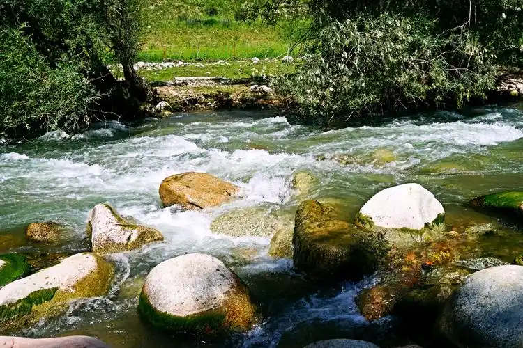 来到小溪旁,没想到,此处还是垂钓高山冷水鱼的好地方.