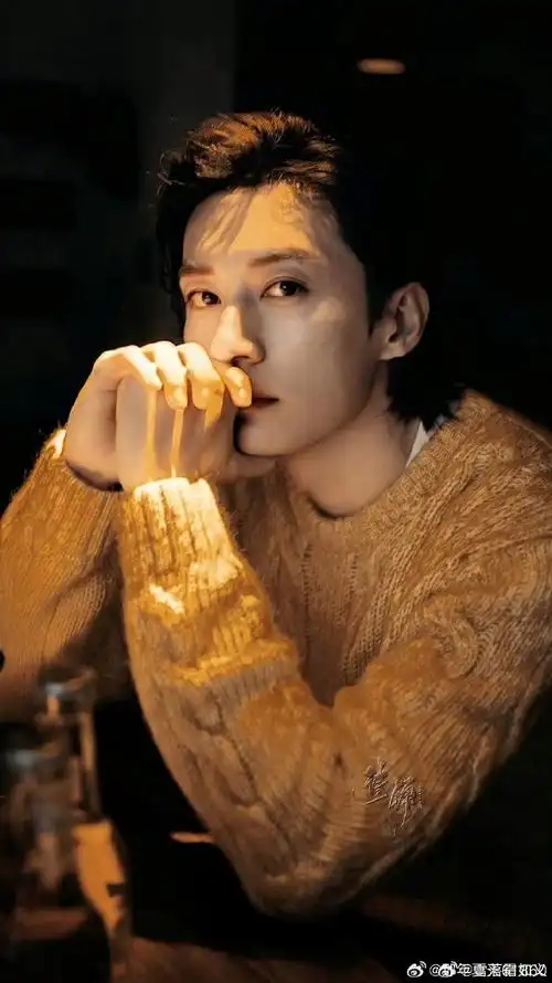 刘学义,他不仅颜值出众,更有着与生俱来的光环,在演技方面,刘学义无疑