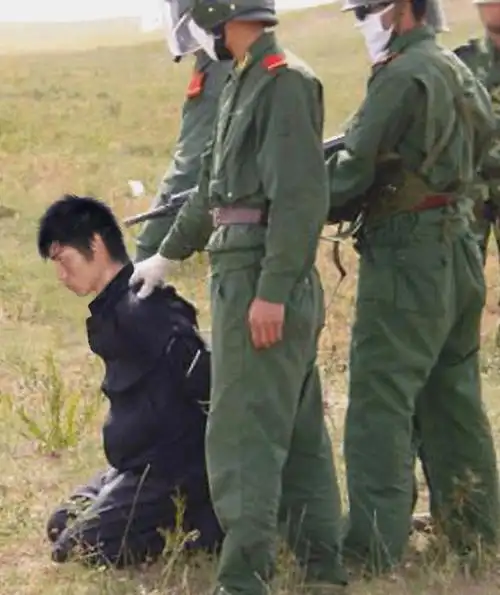 犯人被枪毙时用的是什么子弹,为什么还要刑犯自己买?_时候_国家_人员