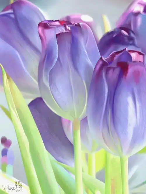 蓝色郁金香并不常见,分享步骤给大家第一步:线稿,加入底色第二步:铺大