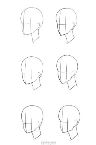 《半侧面(75°)的结构》by 小也子