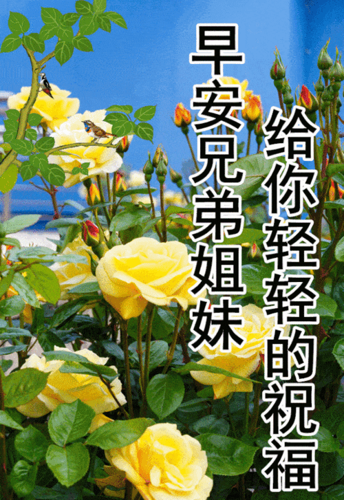 不论爱与不爱,都可以在一起度过一生中的,一天,一月,一年.