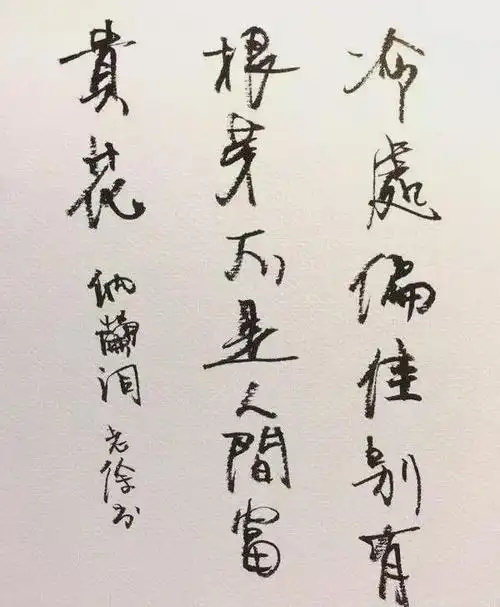 徐静蕾钢笔字帖曝光您觉得如何