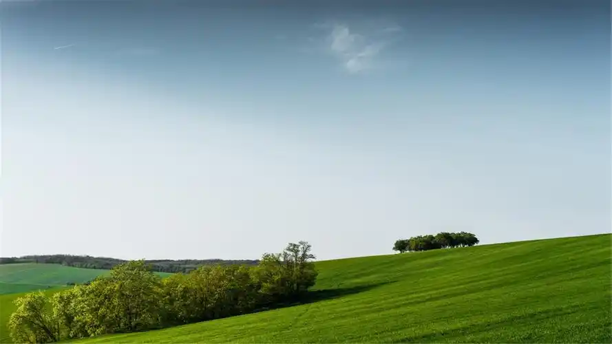 好看的桌面壁纸_电脑桌面壁纸软件-上犹电脑信息网