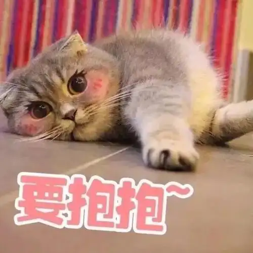 你的小可爱对你发起了一个撒娇攻击