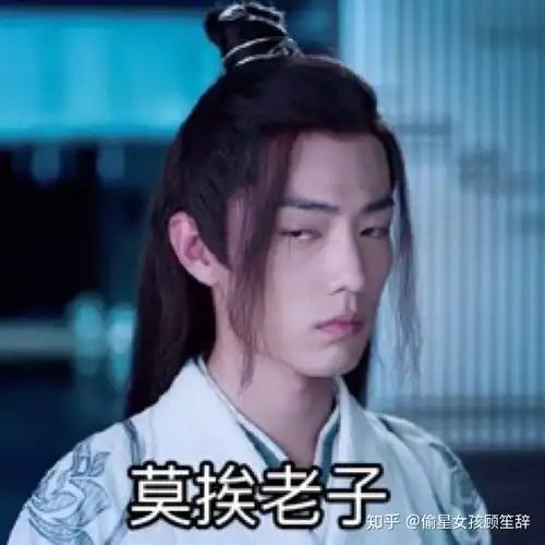 肖战陈情令魏无羡表情包? - 知乎