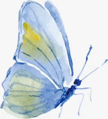 矢量手绘蝴蝶