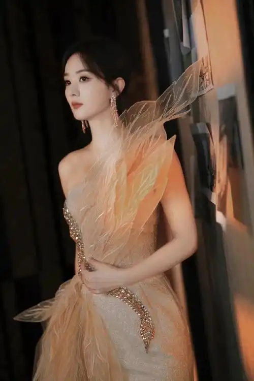 赵丽颖羽毛礼服太仙了