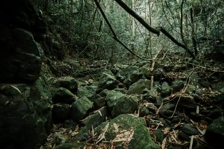 三天两夜穿越无人原始森林(超多图,慎入)更新完毕