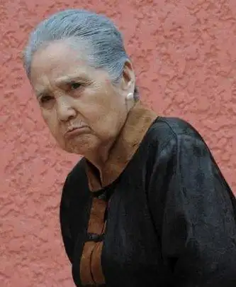 演员鲁园个人资料及近况和图片鲁园老公是谁 - 新宇视窗