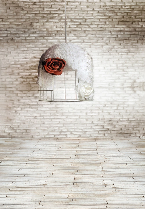 影楼摄影背景 (1)