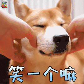 笑个嘛就一个嘛图片_笑个嘛就一个嘛动态图_笑个嘛就一个嘛表情包gif