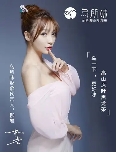 还有柳岩代言的乌所味奶茶,这海报拍的多好看,我们也能走走粉嫩的少女
