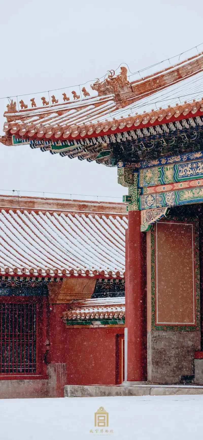 9899北京故宫下雪的时候非常漂亮,"金瓦白雪,红墙银衣", - 抖音