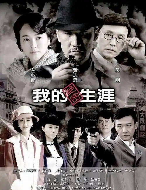 电视剧《我的绝密生涯》剧情介绍,演员表及剧照