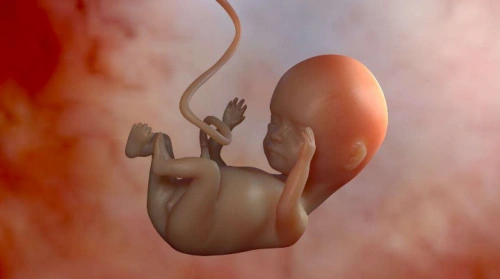 怀孕40天b超能看到吗b超多久能看到孕囊