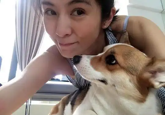 杨采妮邱韶智爱巢:为爱妻给她好的居住环境,将墙壁"穿新装"