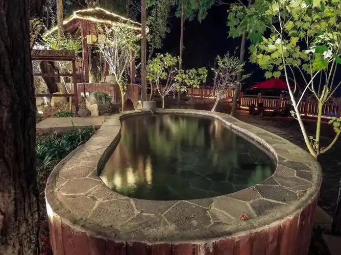 宜春明月山温汤工疗温泉一日电子票