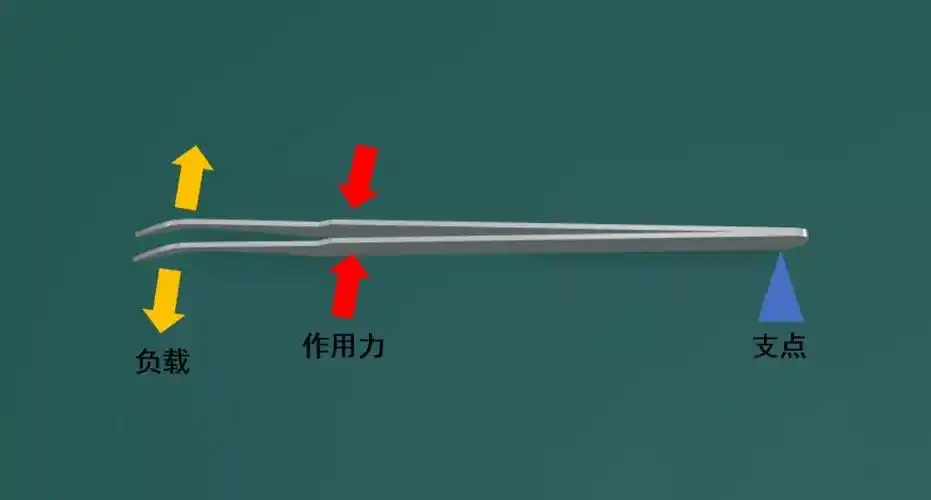 镊子是复合型第三类杠杆,手指的轻微动作使镊子的尖端产生长距离的