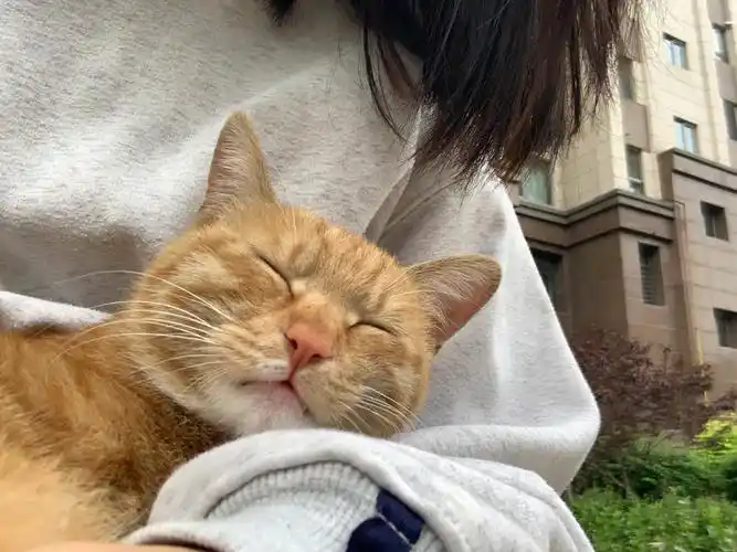 姐姐搂着我睡得好香