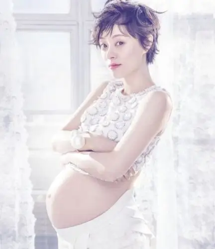 海瑟薇怀孕7月自曝大肚照 李小璐孙俪姚晨 图揭女星最美怀孕照海瑟薇
