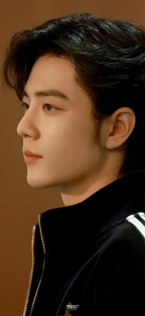 肖战#壁纸|一期一会 念念不忘92