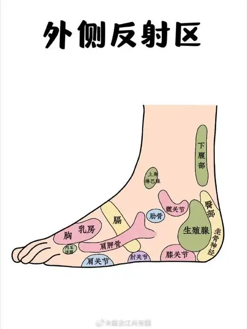 突然觉得脚真的好可怜