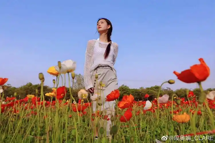 段奥娟漫步花海写真 穿镂空吊带衫笑容明媚甜美_自由_白色_侵权