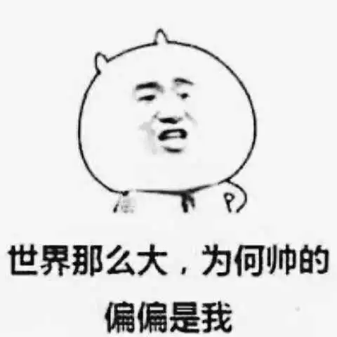 世界那么大,为何帅的偏偏是我_偏偏_为何_那么_世界表情