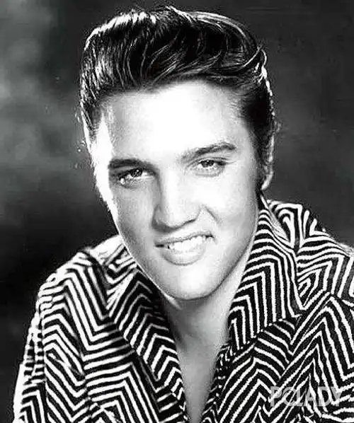 quiff hair ——飞机头