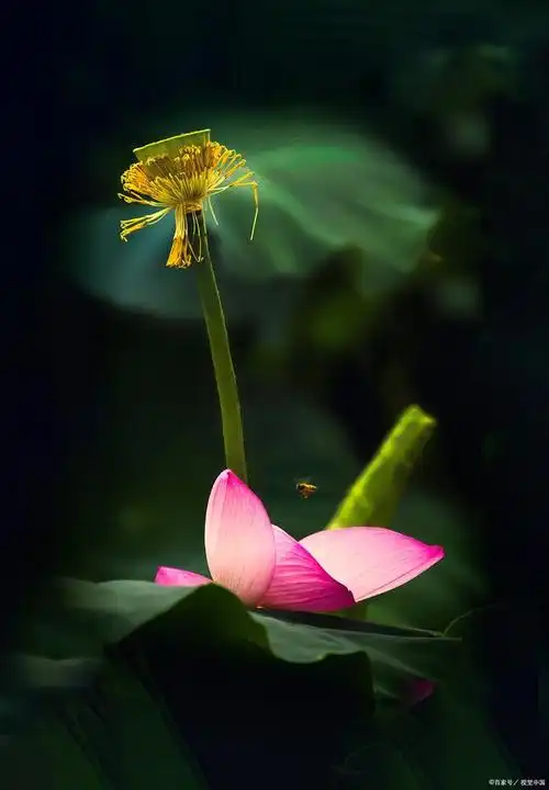 最大的孝敬是开导父母自觉地修行修心