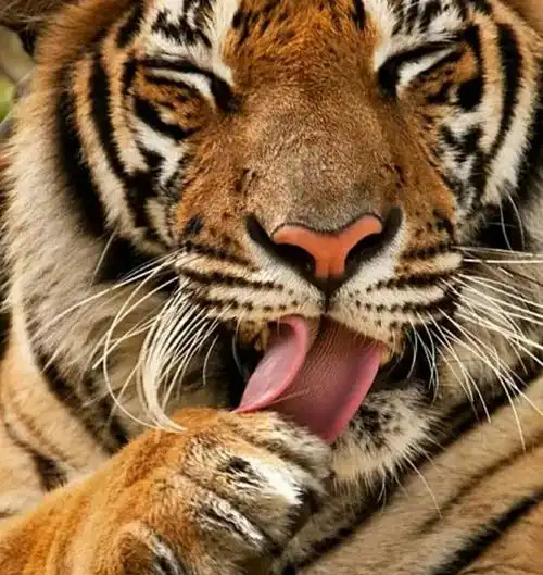 【0152】《炘泽日记》(011—020)易文斋王炘泽