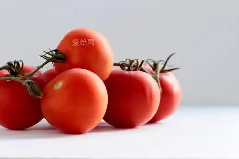 白面红番茄(red tomato on white surface)