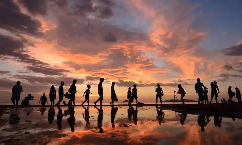 2526一个人去爬黄山看日出 有同行吗